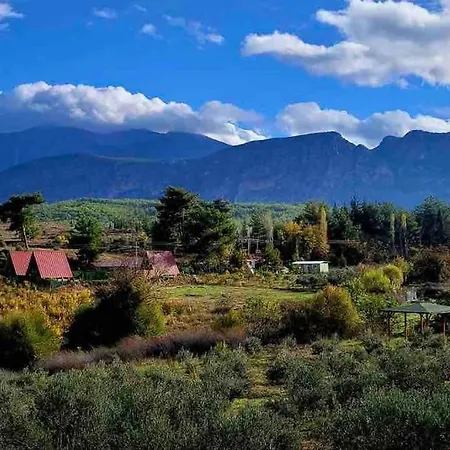 Private I 3 Villa Saklikent